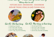 Top 6 đơn vị hỏa táng thú cưng TPHCM trọn gói uy tín tại TrumPet (Bunny Home)