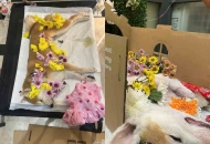 Linh hồn của chó sau khi chết