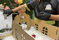 Mùng 1 Chó Bị Chết Có Sao Không? Giải đáp chi tiết