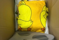 Vì Sao Mèo Chết Không Nhắm Mắt? Nguyên Nhân & Cách Xử Lý