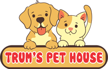 Dịch vụ chăm sóc | spa | hỏa táng thú cưng Trum