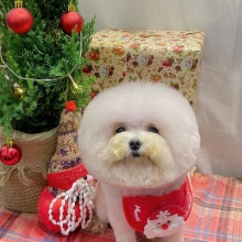 Tạo kiểu cho ẻm