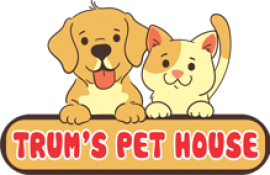 Dịch vụ chăm sóc | spa | hỏa táng thú cưng Trum