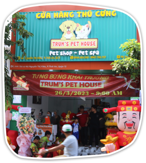 Dịch vụ chăm sóc | spa | hỏa táng thú cưng Trum